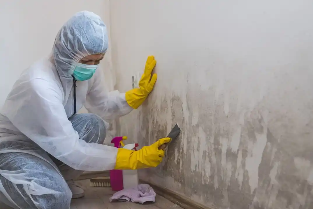 water damage restoration service Scioto Trace